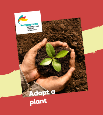 Bengaluru Airport adopt a plant